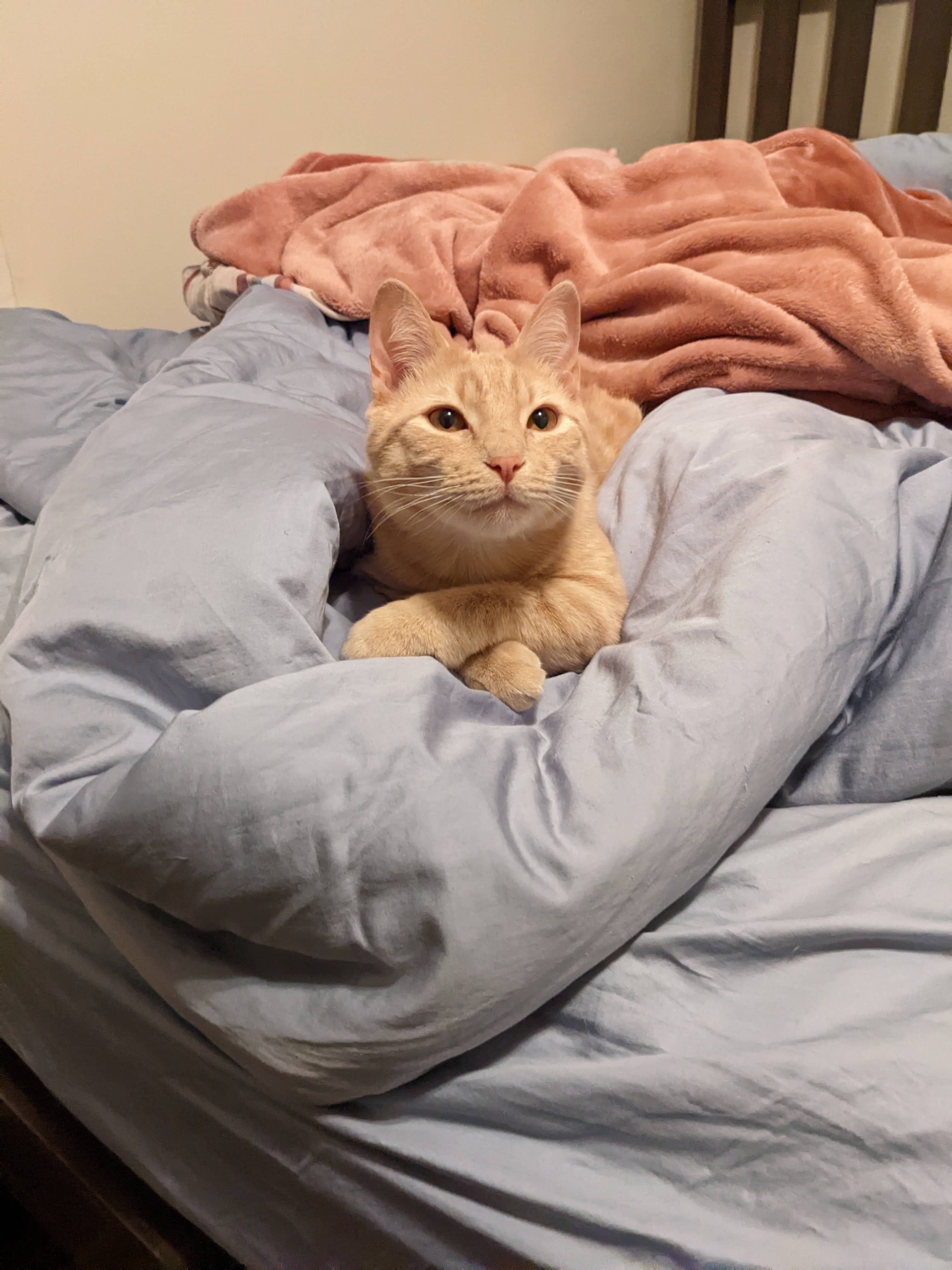 Gunter being a special boy