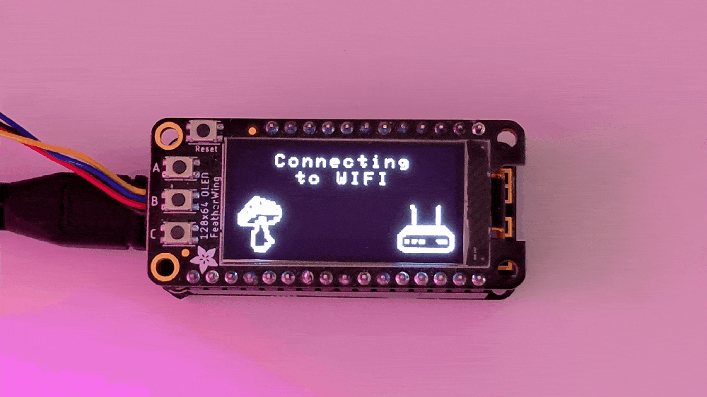 Mushroom sense connecting to my wifi network